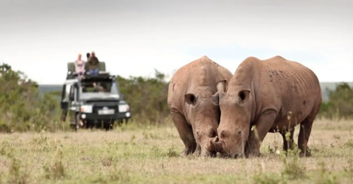 KWS Seeks to Raise National Park Fees by 50%