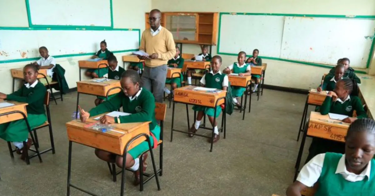 Puzzle Over 123,000 Students Missing in Transition from Grade 6 to 9