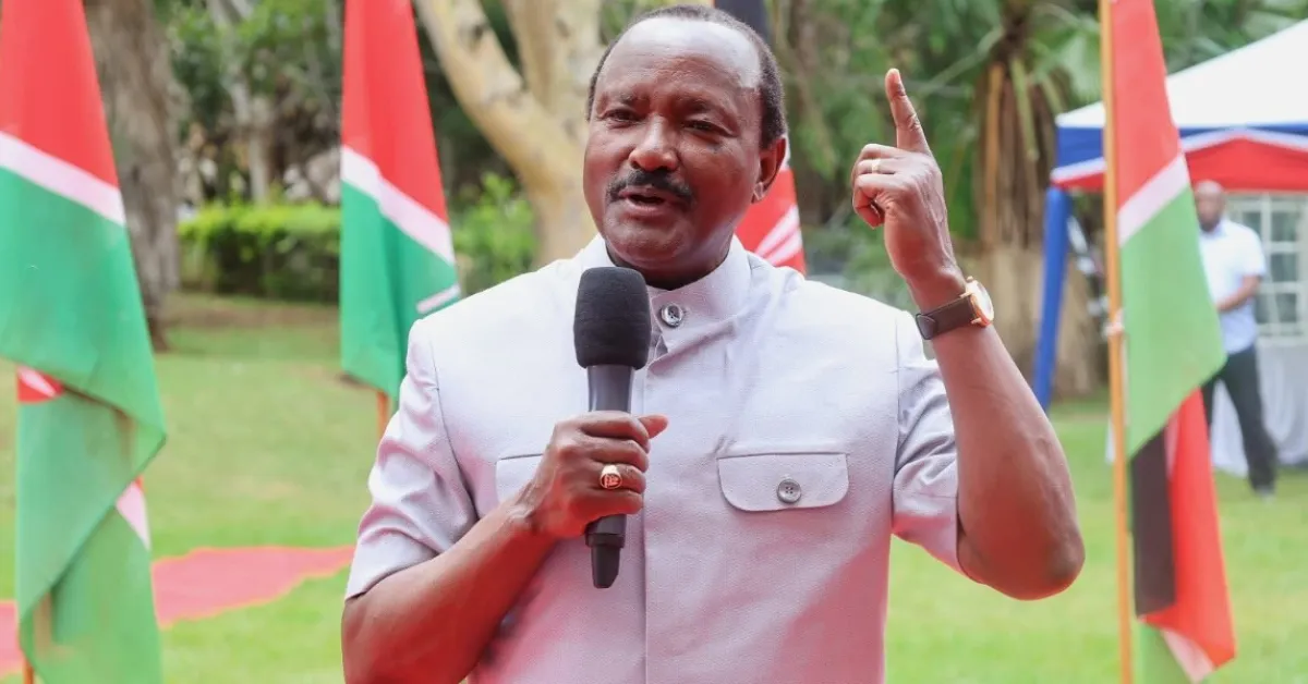 Wandayi Hits Back at Kalonzo and Wamalwa Over NADCO Criticism