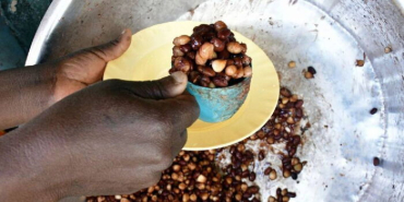 Kilifi County Halts School Feeding Programme After Pupils Made to Recite Hindu Prayers