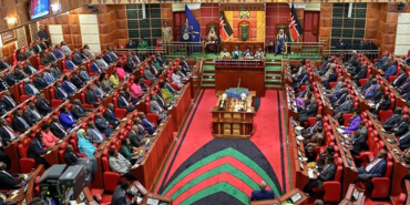 Senators Call for Certificate of Good Conduct to Be Valid for Life