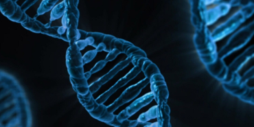 Claims of Fake DNA and Birth Certificate Fuel Nairobi Custody Fight