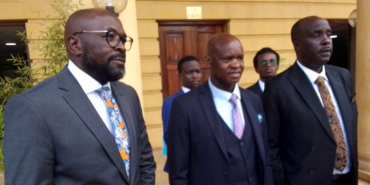 Embu Senator Opposes DP Expulsion Over Support for UDA's Wamuthende in Mbeere North