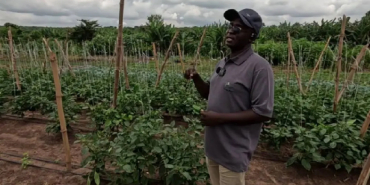 How a Kenyan Entrepreneur Turned Farming in Nigeria Into a Multi-Million Naira Venture