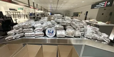 Two Travelers Caught With Nearly 850 Pounds of Miraa at BWI Airport