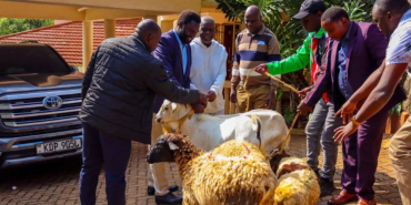 Methu Checks on Recovering Oburu, Brings Goats