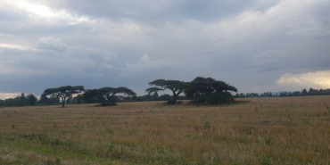 Why More Kenyan Women Are Buying Land