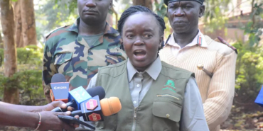 Mount Kenya Fire: Over 3,000 Hectares Burned as 85% Blaze Is Contained