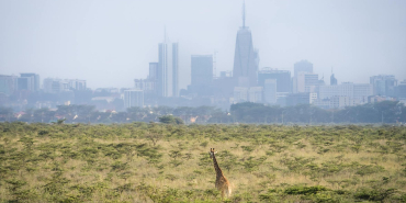 New Regulations for Kenyan Diaspora Tax Reporting to Take Effect in 2026