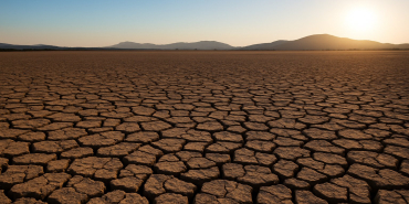 Severe Drought Impacts Farmers and Drives Up Food Prices in Kenya