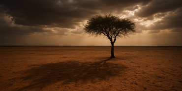 Sudan: Women Detained in Nyala, South Darfur - a Call to Protect Detainees' Rights