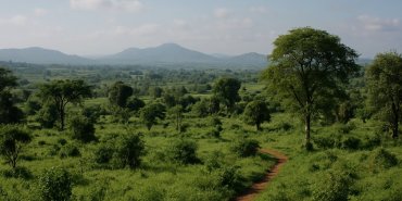 Kenya Declares Bundibugyo Ebola a Formidable Epidemic Disease, Implements New Health Regulations