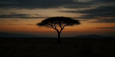Kenya: KNCHR Warns Enforced Disappearances Remain a 'Continuing' Human Rights Crisis in Kenya