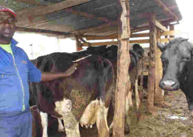 US Firm to Give Kenyans Access to Online Agricultural Data