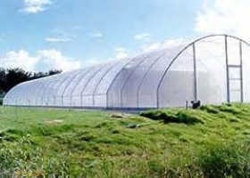 Property Firm Accused of Using Radio Presenter to Swindle Millions from Kenyans