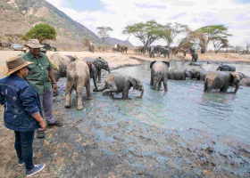 President Uhuru Takes On a Safari Ahead of Supreme Court Election Petition Ruling
