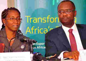 Afreximbank Courts Kenya's High Net Worth Individuals with Sh31 Billion Shareholding Deal