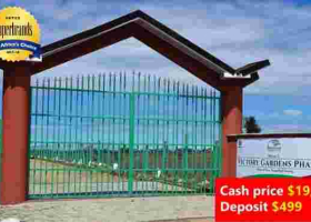 Optiven Real Estate on a Month-Long Tour of the USA: Meet with them for Investment Opportunities Back Home