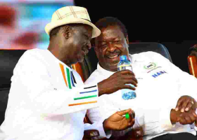 NASA Roots for Bomas Draft of the Constitution