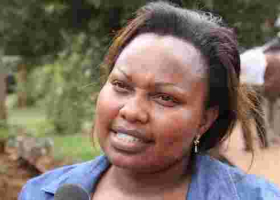 Senator Faults Decision by Nairobi MCAs to Criminalize Commercial Sex Work