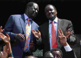 NASA Says Kalonzo Could  Be 'Sworn in' as Deputy President in Germany