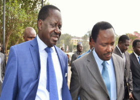 Jubilee MPs Warn Raila, Kalonzo against Planned 'Swearing-in'