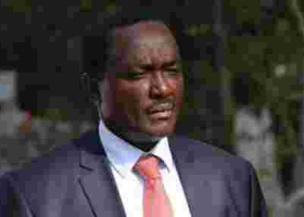 You Must Respect Kalonzo, Wiper Party Tells NASA Members