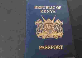 Kenyans Abroad React to Gov't Move to Hike Passport Fees for Diaspora