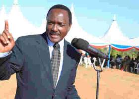 Kalonzo Wants NASA Turned into a Political Party
