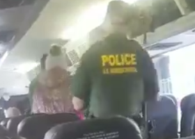 Immigrant Advocates Urge Greyhound Bus Company to Stop Feds from Checking Passengers' Immigration Status