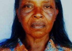 Kenyan Woman Julia Wanjiru Kimotho Dies at Chicago Airport While in Transit to Visit Ailing Daughter in-Law