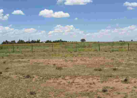 Gov't to Impose Taxes on Idle Land in Kenya