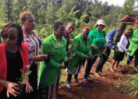 Kenyans Online Roast Murang'a Woman Rep Sabina Chege over Her 'Ask your Mother' Response to a Twitter User