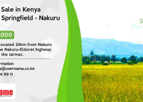 Affordable Investment Opportunity at Springfield - Nakuru