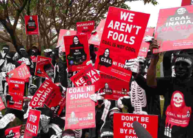 US Senators Oppose Setting Up of Coal Plant in Lamu County 