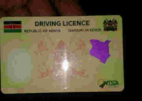 7,000 Kenyans Issued with Chip-Empowered Driving Licenses   	