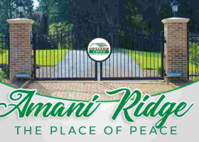5 Prudent Ways to Make Use of Amani Ridge - the Place of Peace