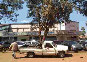 Burglars Steal Sh20 Million after Breaking into Family Bank's Ruiru Branch 