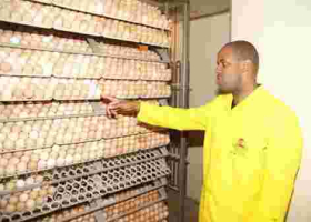 Meet Tony Kiragu, a Kenyan Who Has Built a Sh20 Million Agri-Business after Ditching Lucrative Job in the US