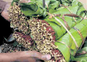 Family of Kenyan Man Imprisoned in India for Smuggling Miraa Appeals for Gov't Intervention