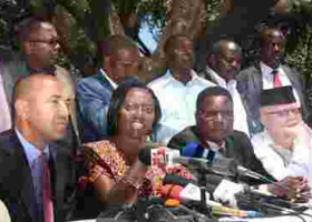 Peter Kenneth, Martha Karua Lead Mt. Kenya Leaders in Demanding Respect for President Uhuru