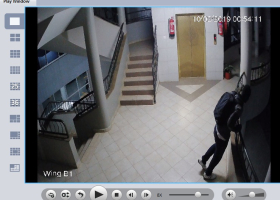 Police in Nairobi Hunt for 'Spiderman' Terrorizing Kilimani Residents [VIDEO]