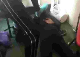 Police Hunt for University Gang Filmed Beating Up Student over a Woman [VIDEO]