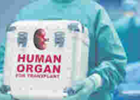 Doctors to Harvest Kidneys from Kenyans Upon Death in Proposed Bill