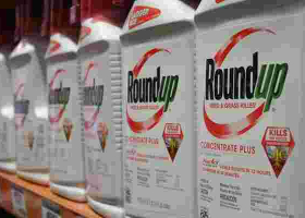 US Court Ruling on Roundup Weed Killer Sends Jitters in Kenya