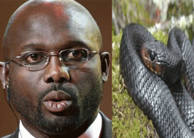 Liberia President George Weah Forced to Work from Home as Snakes Invade His Office