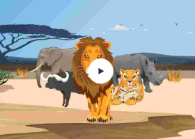 Download the King Simba Game Today: KingSimba Provides an Unmatched Experience