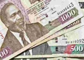 Central Bank of Kenya Accused of Overvaluing Kenya Shilling by 30 Percent