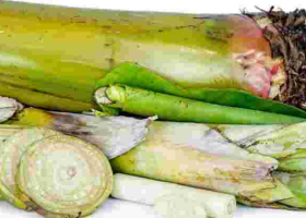 Ken Okoth’s Family Reconciles, Abandons Plan to Bury Banana Stem