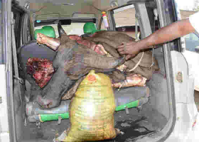 Three Busted with 200Kgs of Buffalo Meat Destined for Nairobi’s Burma Market